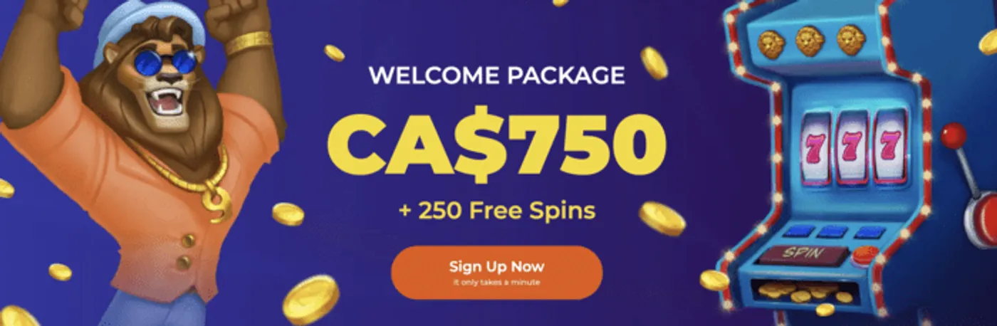 Rico33 bet