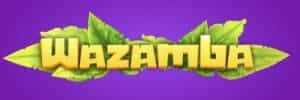 20bet com